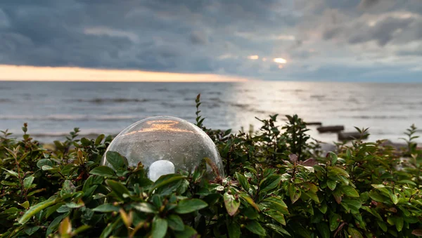 Decorative Bushes Lamp Glass Sphere Sea Clouds — Stock Photo, Image