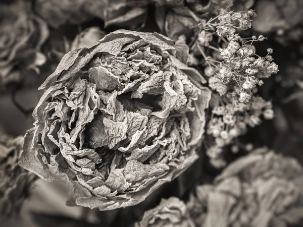 Trockenes Bouquet Nahaufnahme Von Getrockneten Blumen Einem Strauß Leben Und — Stockfoto
