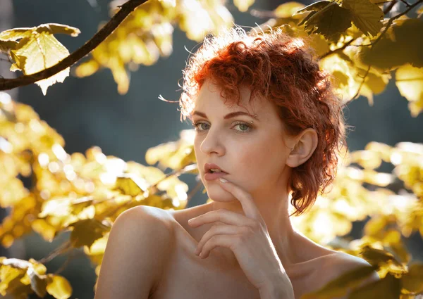 Retrato Uma Jovem Ruiva Jovem Entre Folhagem Outono Árvores Iluminadas — Fotografia de Stock