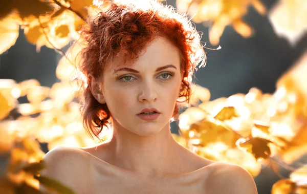 Retrato Uma Jovem Ruiva Jovem Entre Folhagem Outono Árvores Iluminadas — Fotografia de Stock