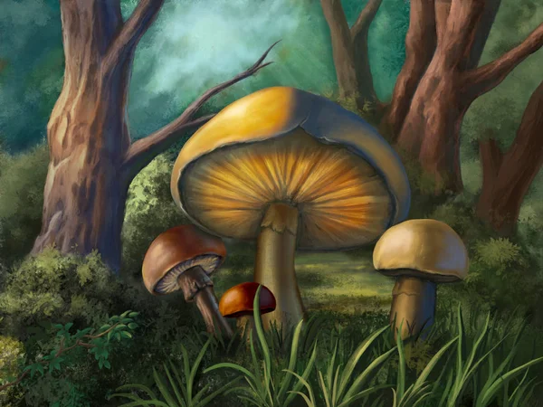 Einige Bunte Pilze Auf Einer Kleinen Waldlichtung Digitale Illustration — Stockfoto