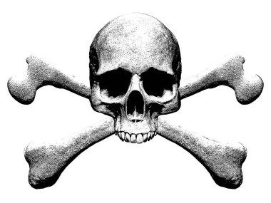 kafatası ve kemiklerin illüstrasyon izole beyaz arka planda 