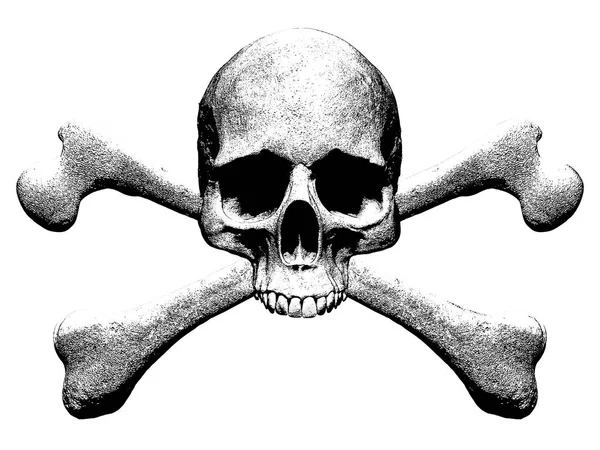 在白色背景下分离的头骨和骷髅插图 — 图库照片
