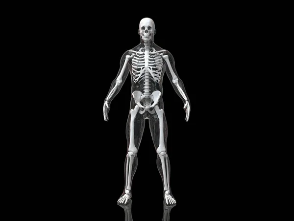 Esqueleto Humano Con Cuerpo Transparente Islado Fondo Negro Render — Foto de Stock