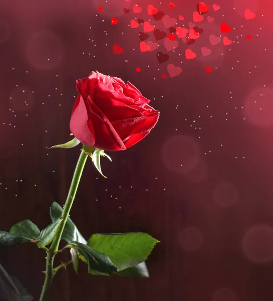 Red Rose Heart Dark Background — Stock Photo, Image