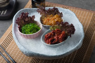 Bebek ahtapot, deniz yosunu ve denizanası masada kesilmiş buz üzerinde Japonca terbiyeli 