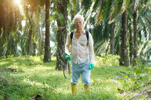 Trabajador Palma Aceitera Rociando Herbicidas Plantación — Foto de Stock