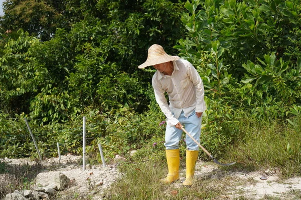 Agricultor Asiático Despejando Tierras —  Fotos de Stock