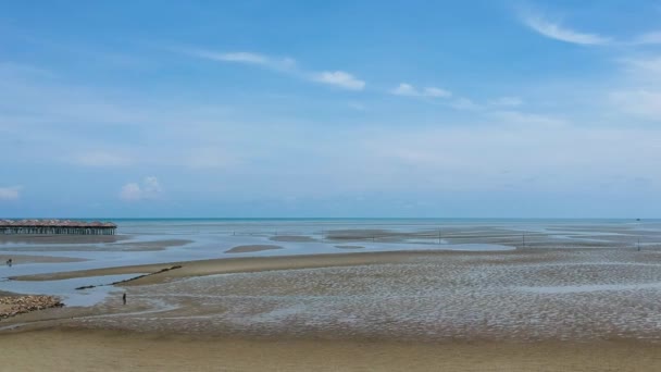 Drone Tiro Bagan Lalang Praia Malásia — Vídeo de Stock