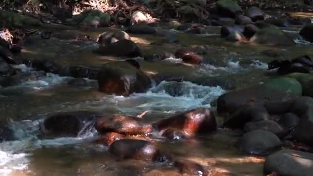 马来西亚热带瀑布 — 图库视频影像