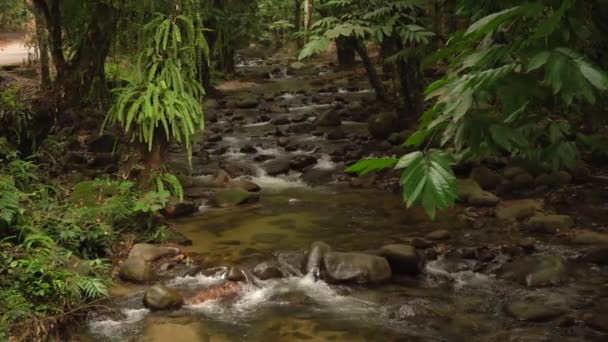 cascade tropicale en Malaisie 