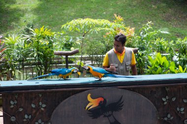 Kuala Lumpur-12 Nisan 2016: Kl Kuş Parkı performans. Ülkenin popüler bir turistik 's