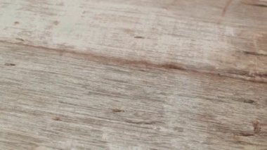 Körili balık topları kase masanın üzerine koyarak adam yakın çekim görüntüleri