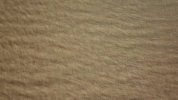棕色泥泞的海的无人机看法 河在河口附近 — 图库视频影像
