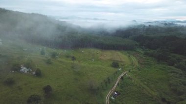 güzel yeşil dağ çayırları havadan görüntüleri
