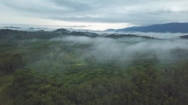güzel yeşil dağ çayırları havadan görüntüleri