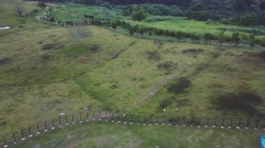 güzel yeşil dağ çayırları havadan görüntüleri