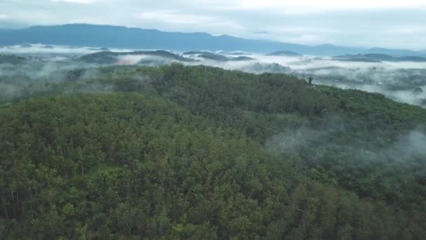 Imagens Aéreas Belos Prados Verdes Montanha — Vídeo de Stock