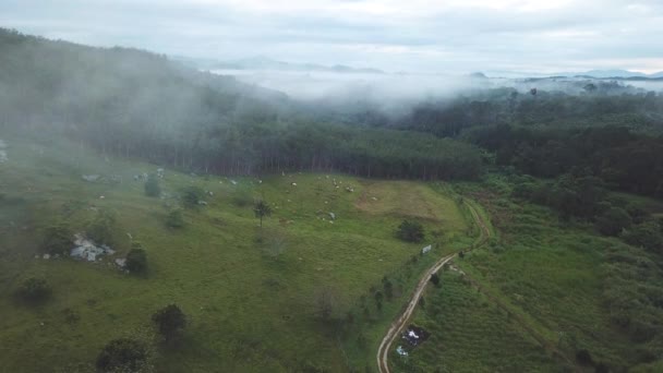 Imagens Aéreas Belos Prados Verdes Montanha — Vídeo de Stock