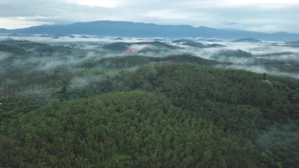 Imagens Aéreas Belos Prados Verdes Montanha — Vídeo de Stock