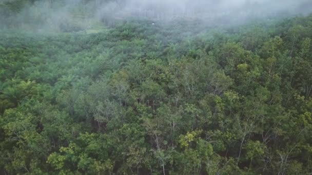 美丽的绿色山区草地的空中镜头 — 图库视频影像