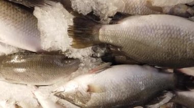 piyasa üzerinde satış buz balık yakın çekim görüntüleri
