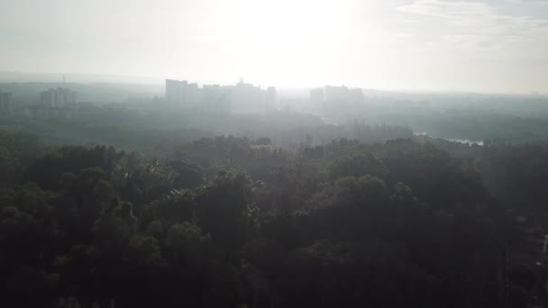 Acima Vista Árvores Verdes Nebulosas Floresta Verão Cidade Urbana Longe — Vídeo de Stock