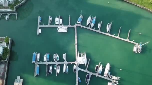 Veduta Aerea Molte Barche Bianche Yacht Ormeggiati Marina Acqua Turchese — Video Stock