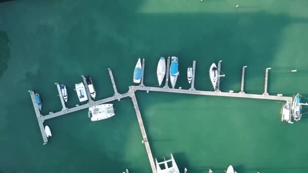 Luftaufnahme Vieler Weißer Boote Und Yachten Die Der Marina Auf — Stockvideo