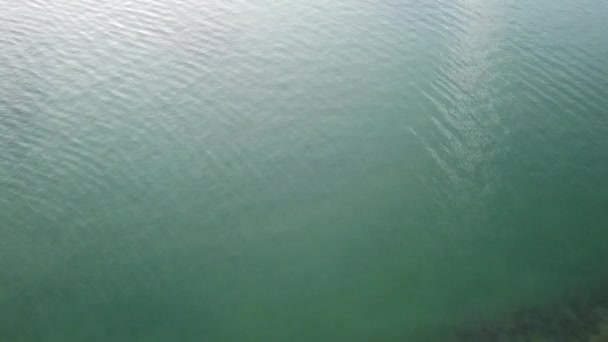 Вид Воздуха Множество Белых Лодок Яхт Пришвартованных Марине Бирюзовой Воде — стоковое видео