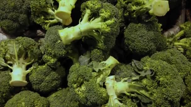 Riprese Ravvicinate Broccoli Venduti Sul Mercato — Video Stock