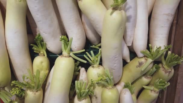 Närbild Bilder Daikon Sälja Marknaden — Stockvideo