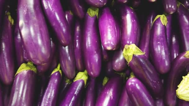 Close Beelden Van Aubergines Verkopen Markt — Stockvideo