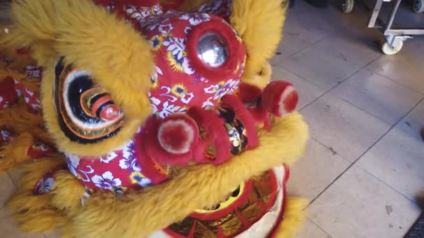 close-up footage of chinese dragon costume for festival