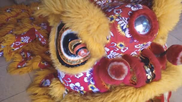 Γκρο Πλαν Πλάνα Του Κινεζικού Δράκου Κοστούμι Για Φεστιβάλ — Αρχείο Βίντεο