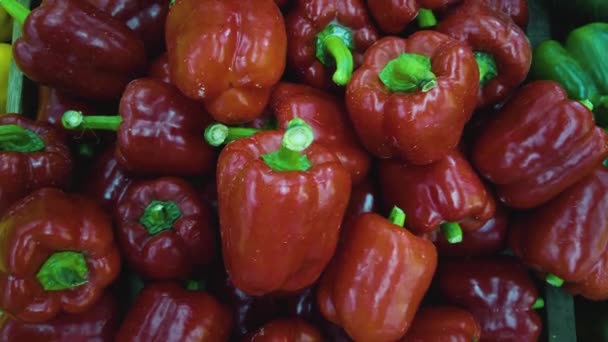 Detailní Záběry Červené Papriky Prodej Trhu — Stock video