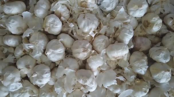 Close Footage Garlic Selling Market — Stock Video