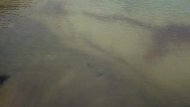 Flygfoto Över Lugna Havet Dyster Dag — Stockvideo