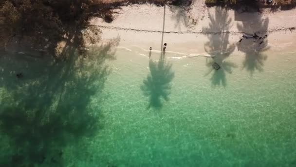 Schilderachtige Beelden Van Prachtige Kust Met Turquoise Water — Stockvideo