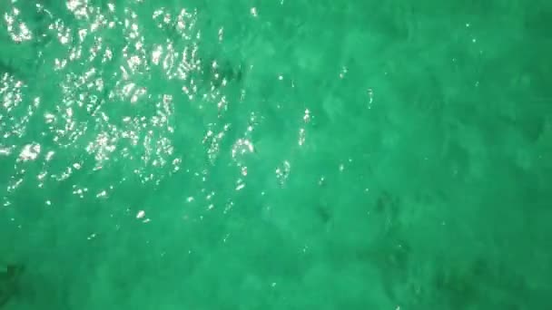 Malowniczy Materiał Pięknym Brzegiem Morza Turkusową Wodą — Wideo stockowe