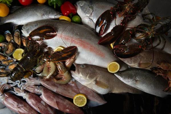 랍스터 오징어 다양한 생해산물 클로즈업한 — 스톡 사진