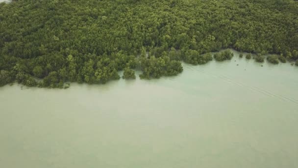 Imágenes Aéreas Selva Tropical Río Fangoso — Vídeos de Stock