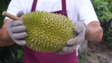 tropik ormanda jackfruit tutan adamın yakın çekim görüntüleri