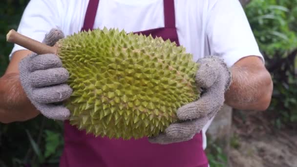 熱帯林でジャックフルーツを持つ男のクローズアップ映像 — ストック動画