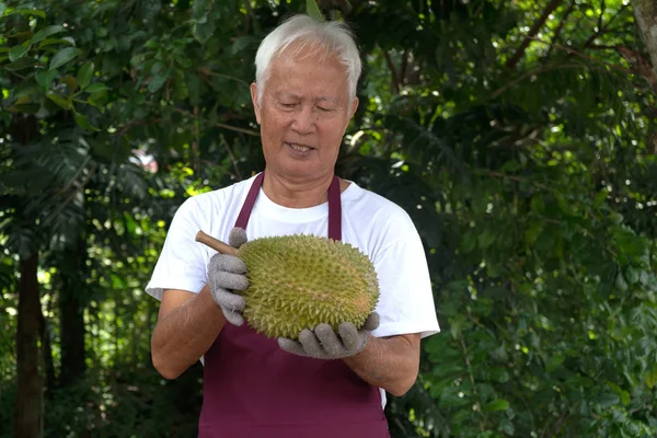 Senior Asiatisk Duriansk Jordbrukare Gården — Stockfoto