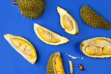 Kopyalama alanı ile parlak mavi arka planda Durian