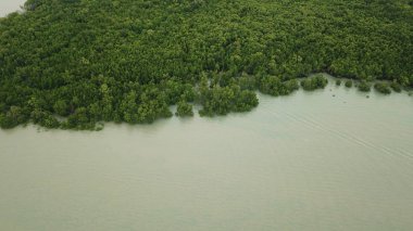 malezya de pulau ketam doğal hava görünümü