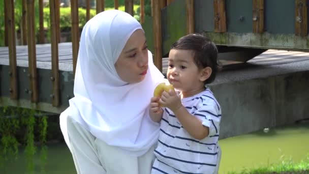 Imagens Mãe Filho Feliz Passar Tempo Juntos Livre — Vídeo de Stock