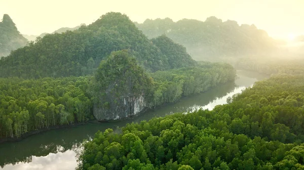 Yağmur Ormanlarında Gün Doğumu Langkawi Ormanı Insansız Hava Aracı Manzarası — Stok fotoğraf