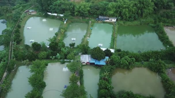 Natursköna Flygbilder Vattenreservoarer För Ris Den Asiatiska Byn — Stockvideo